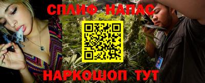 крисы Коммунар